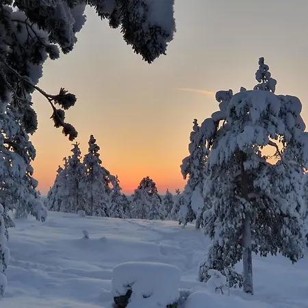 Make Yourself At * Rovaniemi