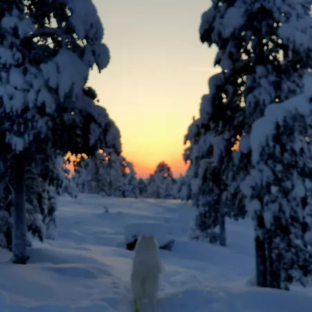 Make Yourself At Rovaniemi