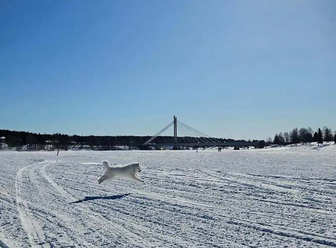 Appartement Make Yourself At *