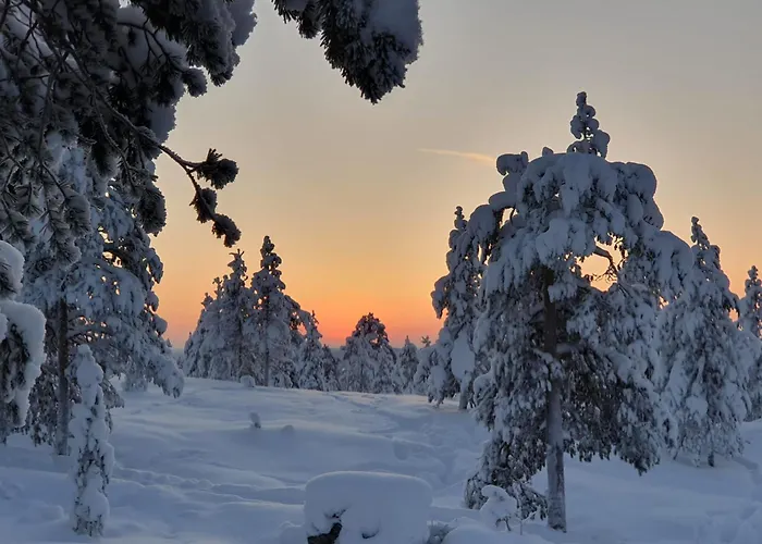 Make Yourself At * Rovaniemi