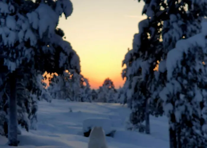 Make Yourself At Rovaniemi